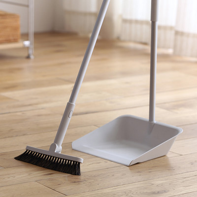 Dustpan